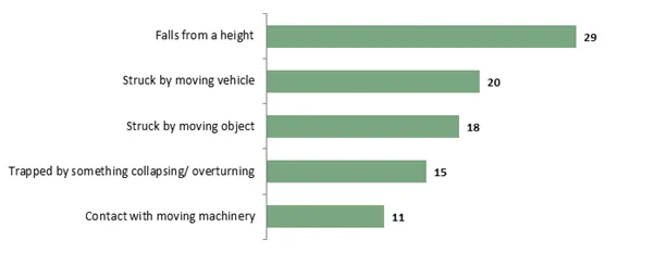 HSE Statistics